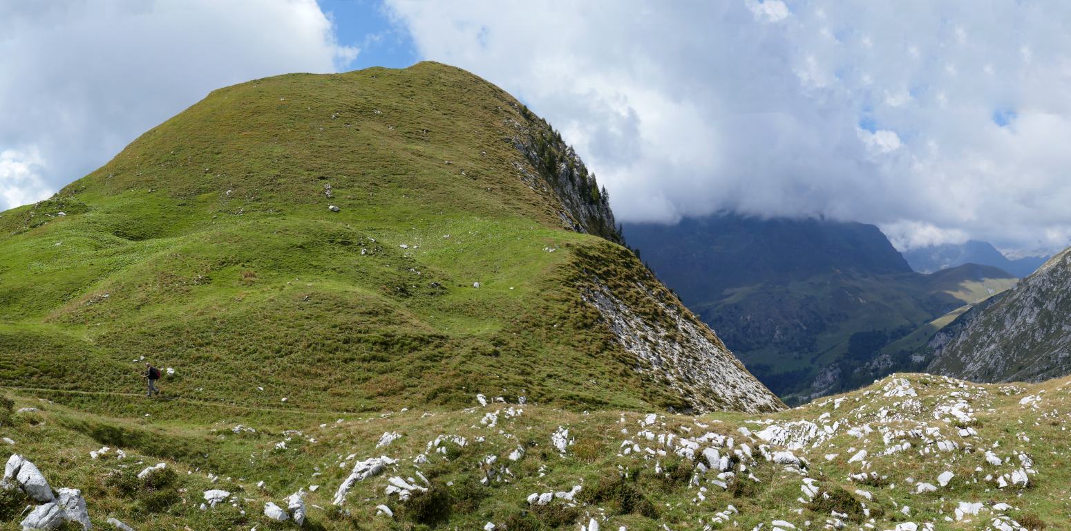 314A e 314B si incrociano proprio qui, presso questa verdeggiante Cima di Val Sedornia.