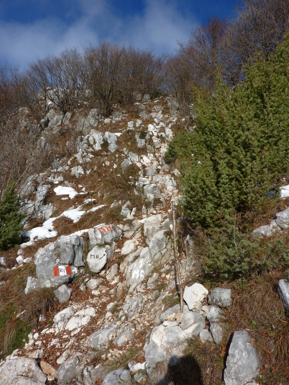 L'ultimo strappo per la cima del monte Bronzone
