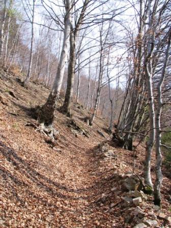 Primi metri del sentiero 133