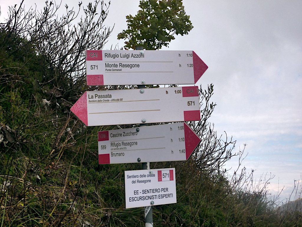 Segnaletica sul Sentiero delle Creste, là dove il 589 termina la sua salita.