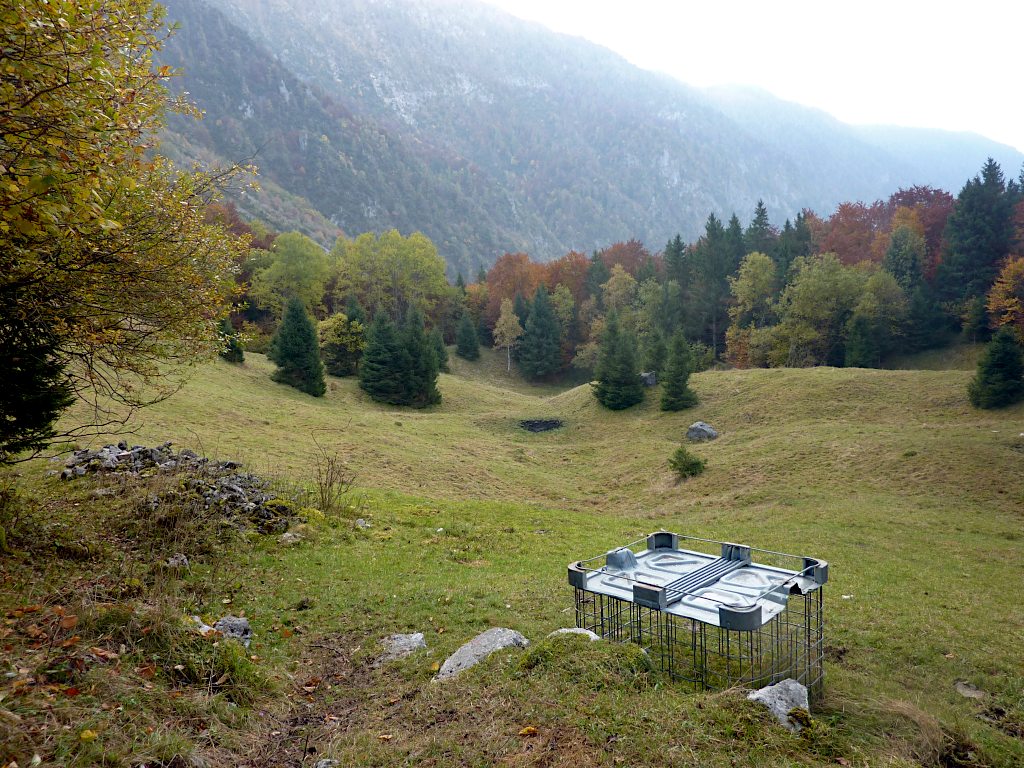 Sentiero per lo più boschivo, il 340 offre pochi sguardi su radure silenziose.