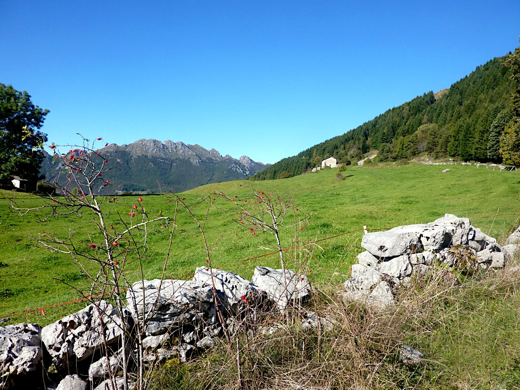 In località Piazza, la stradina finora percorsa diviene un sentiero che si dirige verso quei boschi.