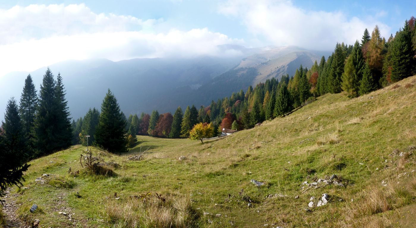 Scendendo col 320, là dove il 311A si stacca, di colpo appaiono i bellissimi prati di B.ta Bruseda.