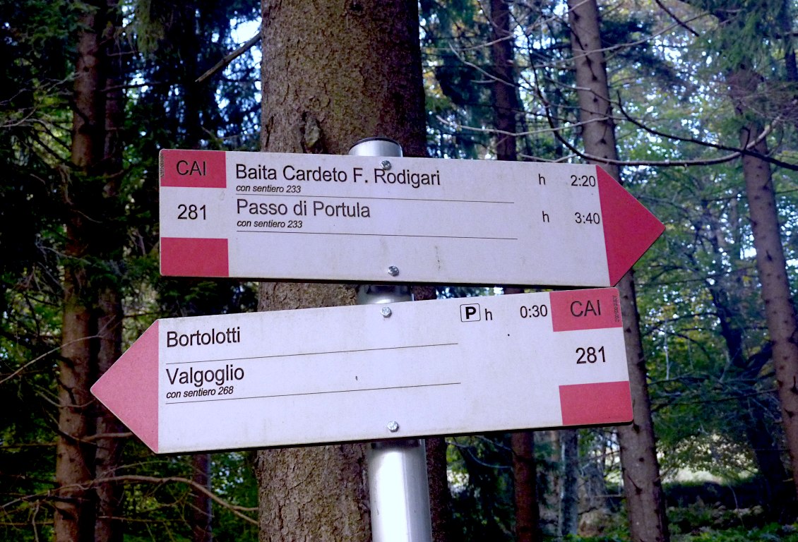 Poco oltre la località Masone si lascia la stradina e si entra nel bosco.