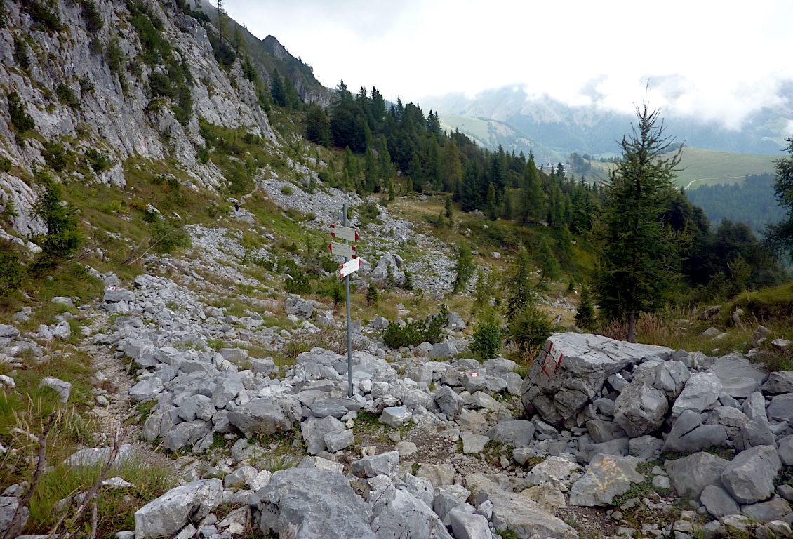 A quota 1690 m, il 403 e il 406 si incrociano. In fondo a dx: l'erbosa vetta del M. Zanari.