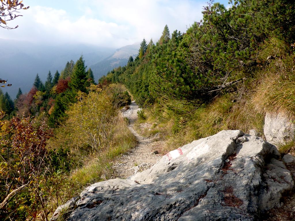 Il 320 scende tra i mughi verso B.ta Bruseda.