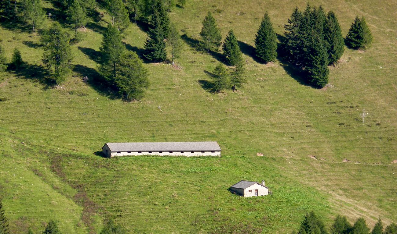 La B.ta Nuova e il suo stallone zoomati dall'altro lato della valle. Ben visibile il 201B.
