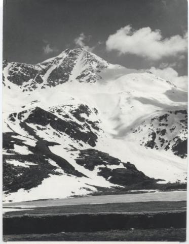 Foto varie Guido Zocchi