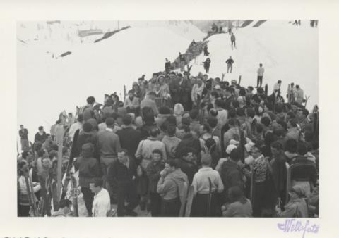 Trofeo Paravicini 1950