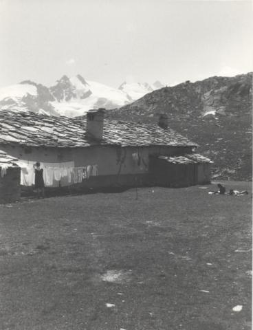 Gran Paradiso