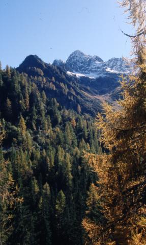 Pagliari: la memoria nella pietra