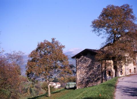 Tour ad Alino (S.Pellegrino Terme)