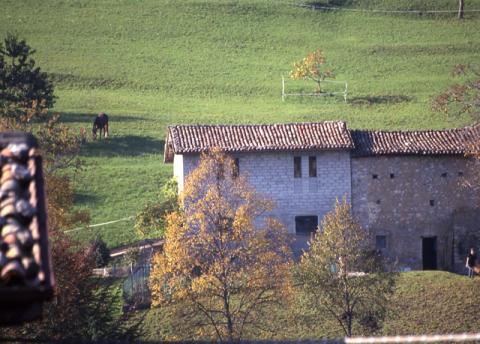Tour ad Alino (S.Pellegrino Terme)