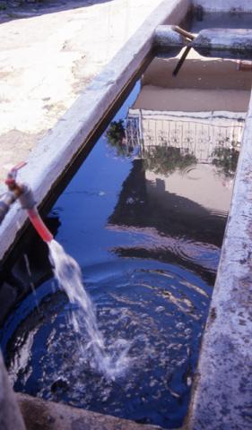 Tour ad Alino (S.Pellegrino Terme)