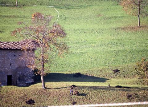 Tour ad Alino (S.Pellegrino Terme)
