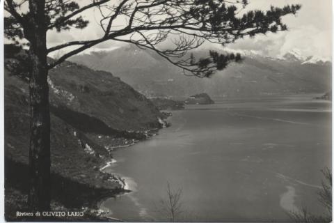 Oliveto Lario