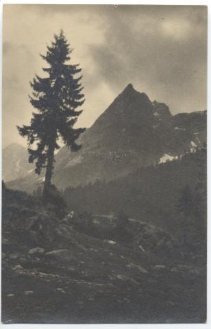 Cartolina Postale 19/11/1925