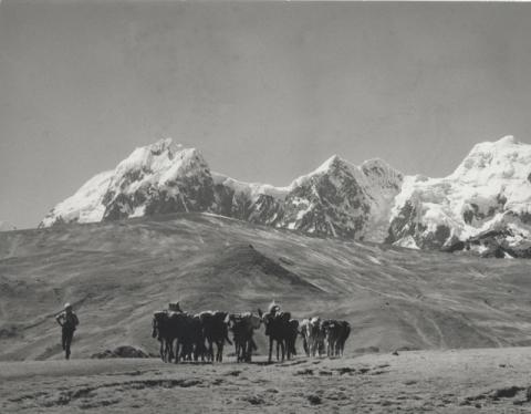 Ande Perù - Spedizione CAI BG '76