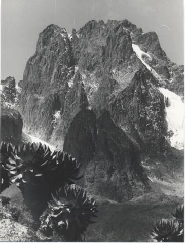 Monte Kenya