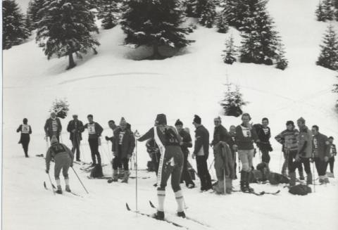 Gara sociale a Borno