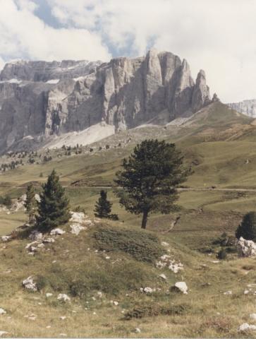 Dolomiti