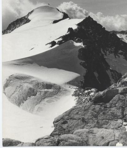 Adamello - dal Corno di Cavento