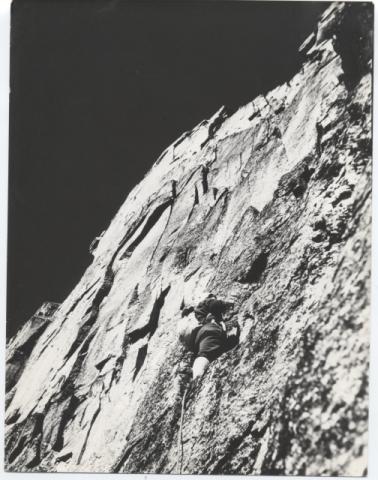 Becco Meridionale della Tribolazione