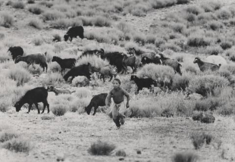 Medio - Alto Atlante