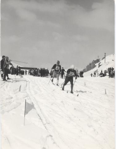 Trofeo Parravicini 1969