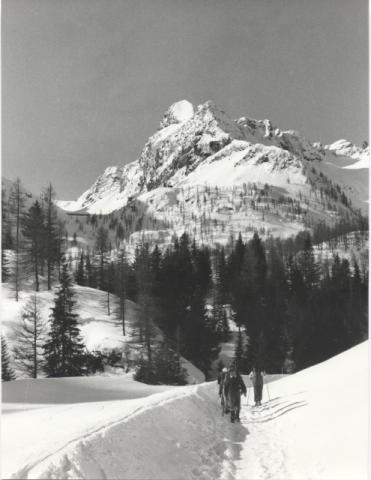 Trofeo Parravicini 1985