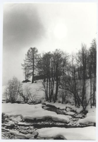 Sci di fondo in Engadina