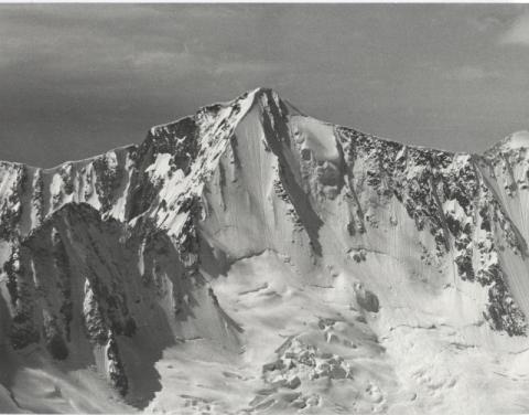 Gruppo Adamello - Presanella