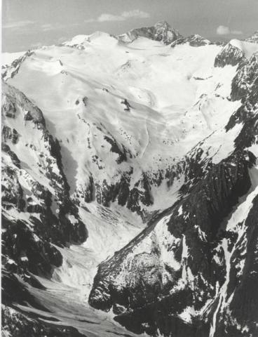 Gruppo Adamello - Presanella