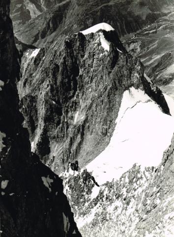 Aiguille Blanche de Peuterey