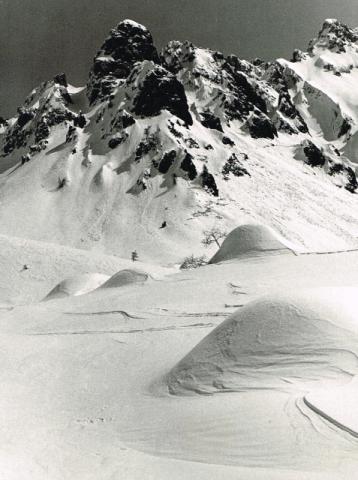 CAMPELLI DI SCHILPARIO