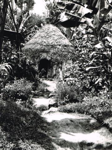 Spedizione CAI BG al Kilimangiaro 1966