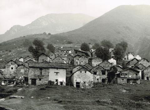 Casolari
