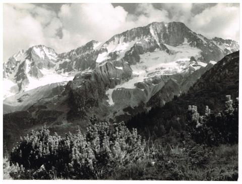 CIMA BUSAZZA -GRUPPO DELLA PRESANELLA