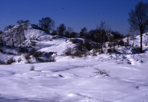 Dal monte di Nese a Salmezza, in inverno