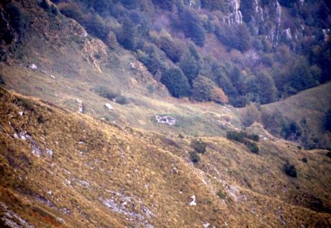 Aralalta, Baitù e Pizzino