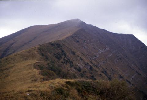 Aralalta, Baitù e Pizzino