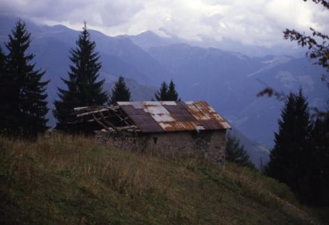 Aralalta, Baitù e Pizzino