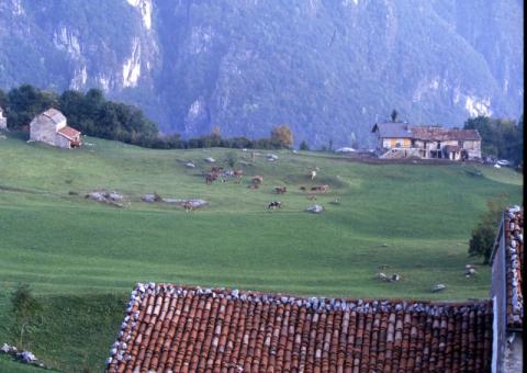 Aralalta, Baitù e Pizzino