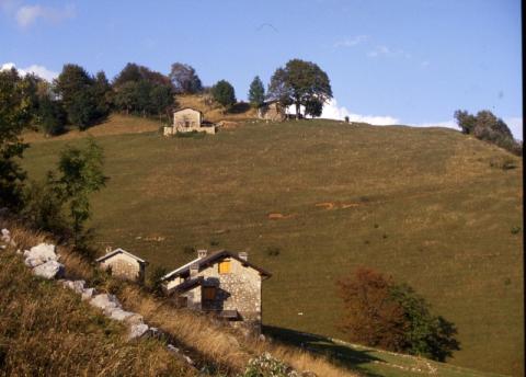 Aralalta, Baitù e Pizzino