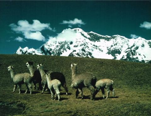 Spedizione CAI BG Vilcanota - Perù 1976