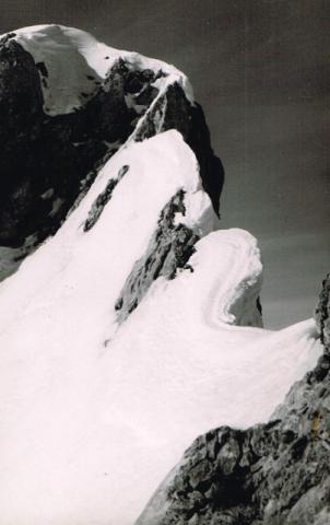 Alpi Retiche Occidentali