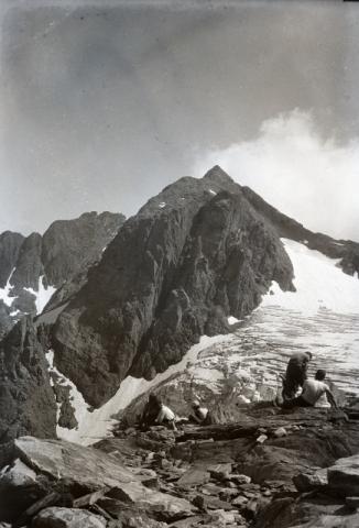 DENTE DI COCA CON GHIACCIAIO
