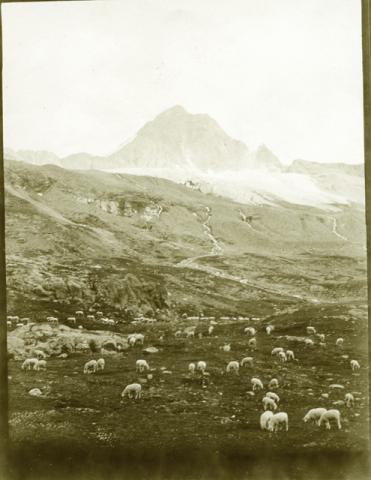 Corno dei Tre Signori (mt. 3.360)