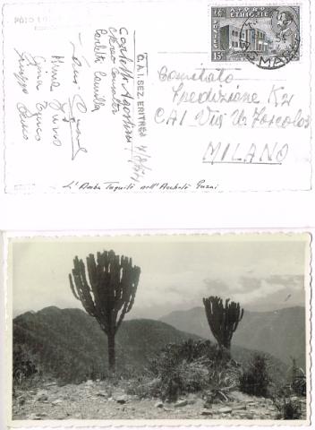 Spedizione italiana al K2 1954