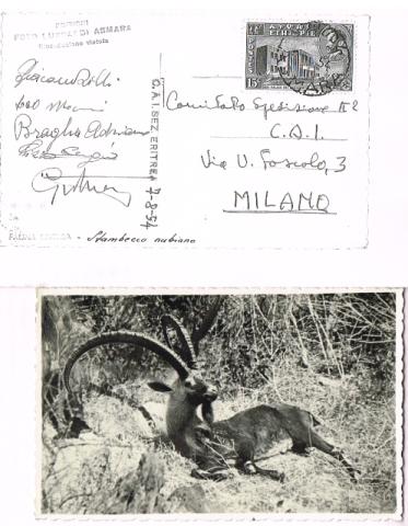 Spedizione italiana al K2 1954